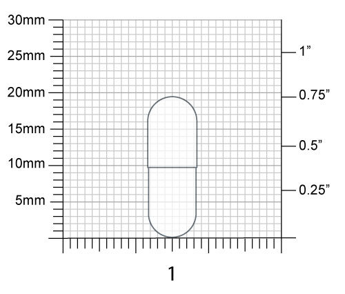 Capsule Size Guide Interactive Specification Chart capsule-size-guide-interactive-specification-chart